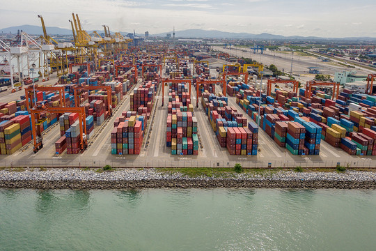 Mộ vụ kiện về vận đơn