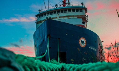 Tương lai ngành logistics trong năm 2022