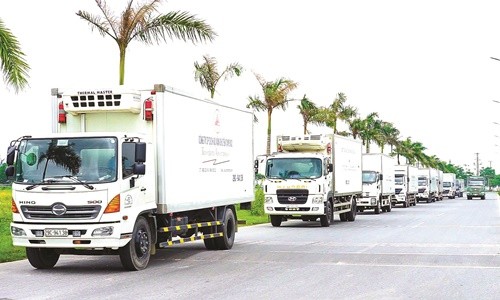 Luồng xanh: Giải pháp logistics linh hoạt trong phòng chống dịch