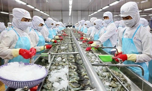Xuất khẩu tôm có thể vượt mốc 4 tỷ USD trong năm 2021