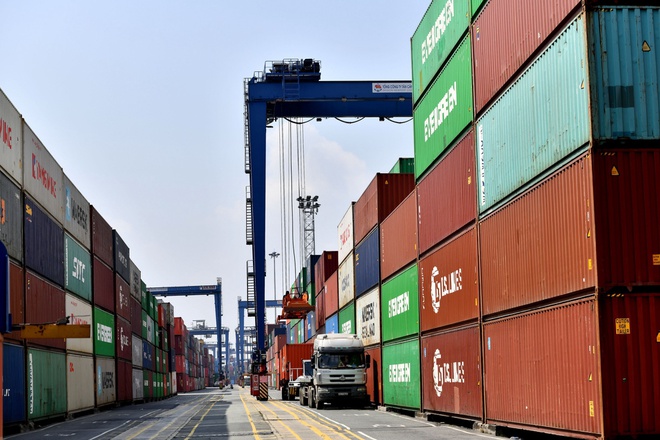 Bộ Nông nghiệp lên tiếng việc giá cước vận tải biển tăng đến 500%