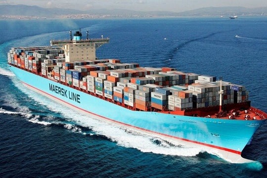 Các hãng tàu và cuộc đua “thích ứng”