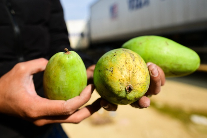 Doanh nghiệp lo mất Tết khi hàng mắc kẹt ở cửa khẩu