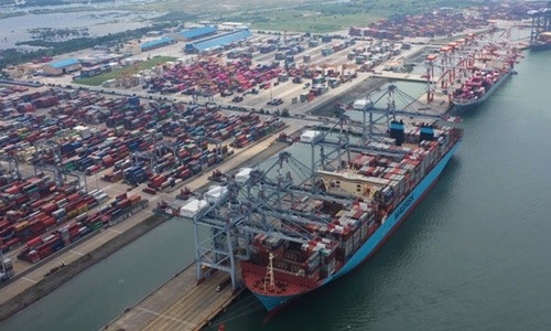 Hãng tàu container phải minh bạch giá cước vận chuyển