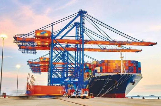 Những cánh chim đầu đàn dệt mùa xuân Logistics Việt Nam