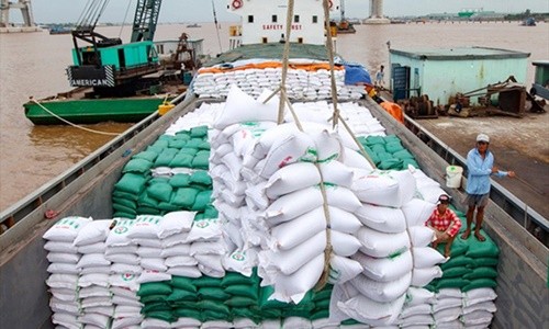 Giá gạo Việt Nam cao nhất trong một thập kỷ