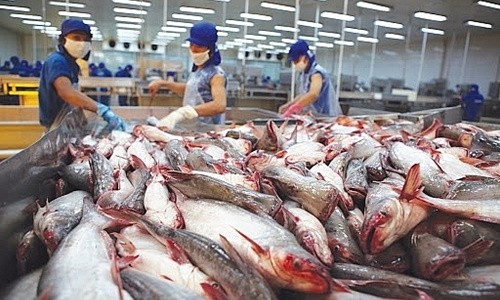 Xuất khẩu thủy sản năm 2021: Cần tạo ra sự khác biệt cho sản phẩm xuất khẩu